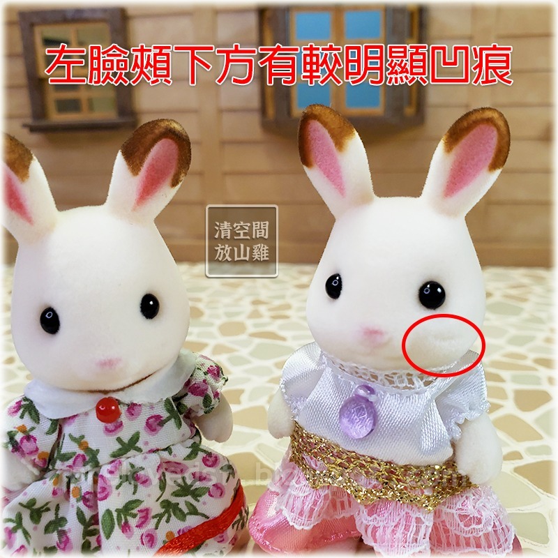 Sylvanian Families 森林家族 可可兔女孩 兩隻不拆售〈清空間放山雞〉-細節圖7