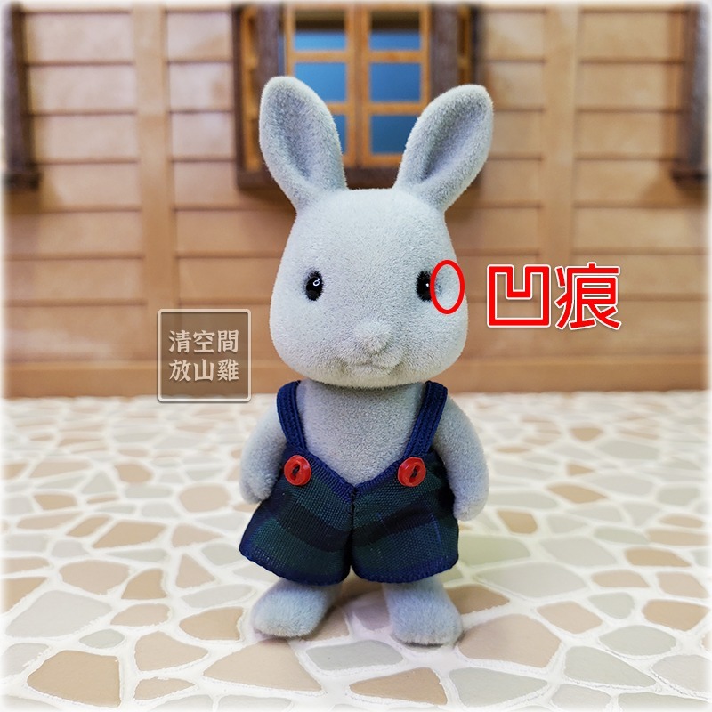 Sylvanian Families 森林家族 灰兔男孩 二手有盒 日版 絕版〈清空間放山雞〉-細節圖5