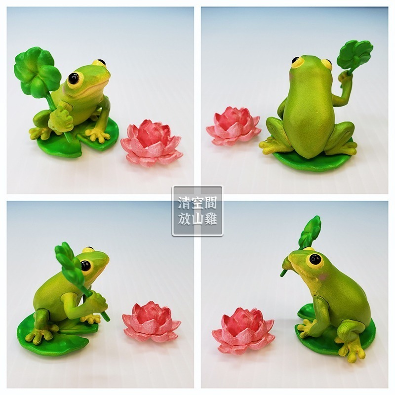 Re-Ment 森林動物故事 1號 青蛙 小鳥 二手有盒有紙 絕版 2008 rement〈清空間放山雞〉-細節圖2