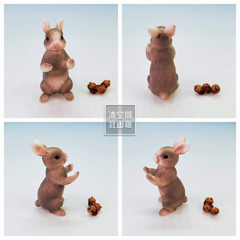 Re-Ment 森林動物故事 10號 兔子 小鹿 二手有盒有紙 絕版 2008 rement〈清空間放山雞〉-細節圖3