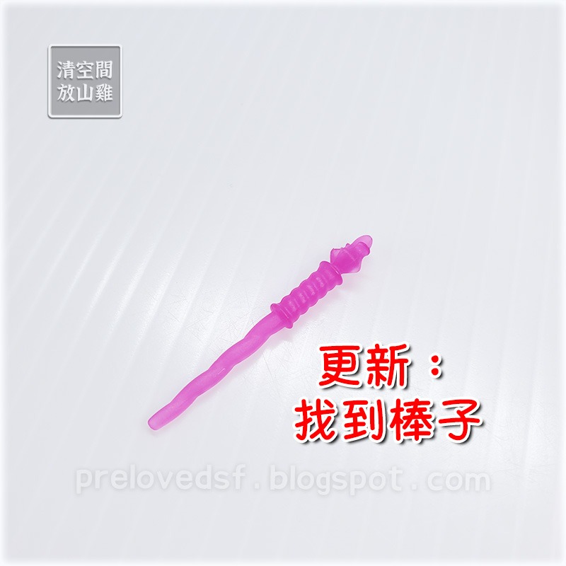 Playmobil 5447 摩比 魔法動物森林 治癒 仙子系列 二手有盒 絕版〈清空間放山雞〉-細節圖9