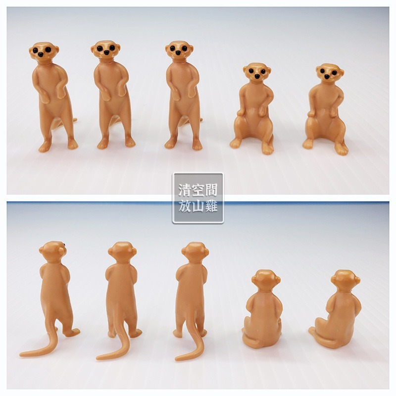 Playmobil 4853 摩比 狐獴家族與飼育員場景組 二手有盒 絕版〈清空間放山雞〉-細節圖4