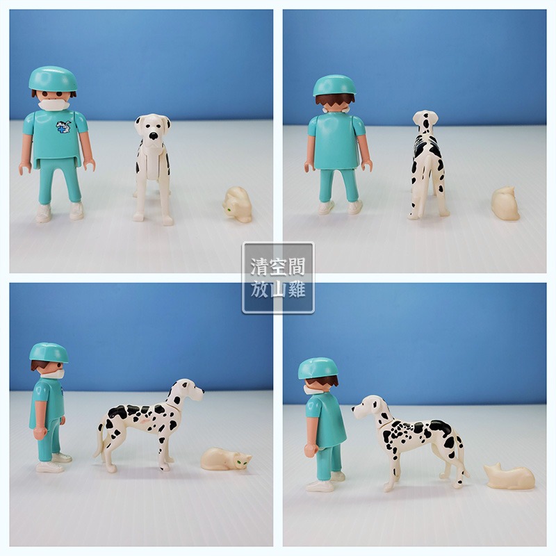 Playmobil 5530 摩比 獸醫寵物檢查室 動物醫院診所 二手有盒 絕版〈清空間放山雞〉-細節圖5