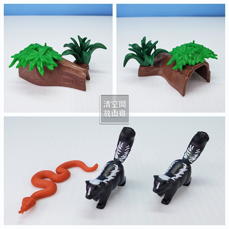 Playmobil 3226 6317 摩比 臭鼬 蛇 浣熊家族 二手 絕版〈清空間放山雞〉-細節圖3
