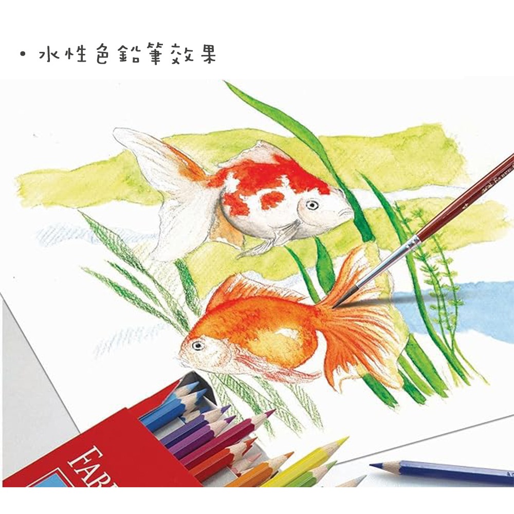 ｜文具管家｜輝柏 12色短桿色鉛筆 114461水性 / 115851油性  色鉛筆 Faber-Castell-細節圖4