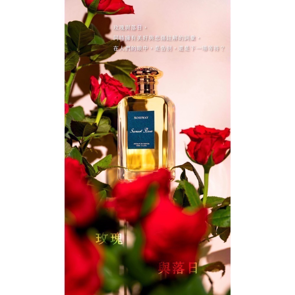 🫧NOSEWAY香水 100ml 半夕之間 紅爐點雪 慢煮茶 春芽入喉時 迷香人沙龍香水🫧-規格圖4