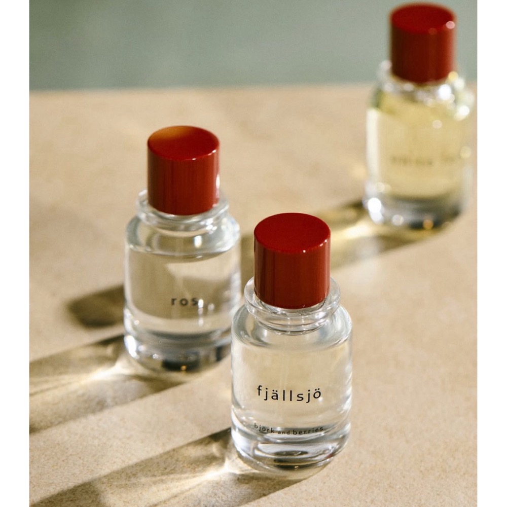 🫧Björk and Berries🇸🇪50ml淡香精 荒冷玫瑰 北國淺眠 植物學 雪盡之森 瑞典沙龍香水🫧-細節圖2