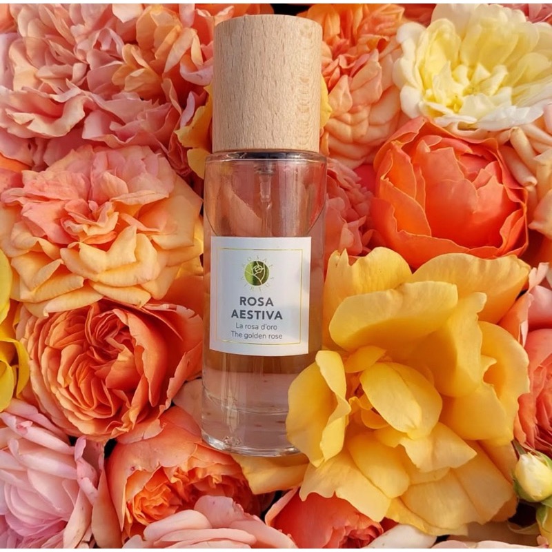 🫧Rosae Virtus🇮🇹30ml 四季玫瑰香水 義大利沙龍香水 小眾香水 玫瑰花香調 時嶼🫧-細節圖4