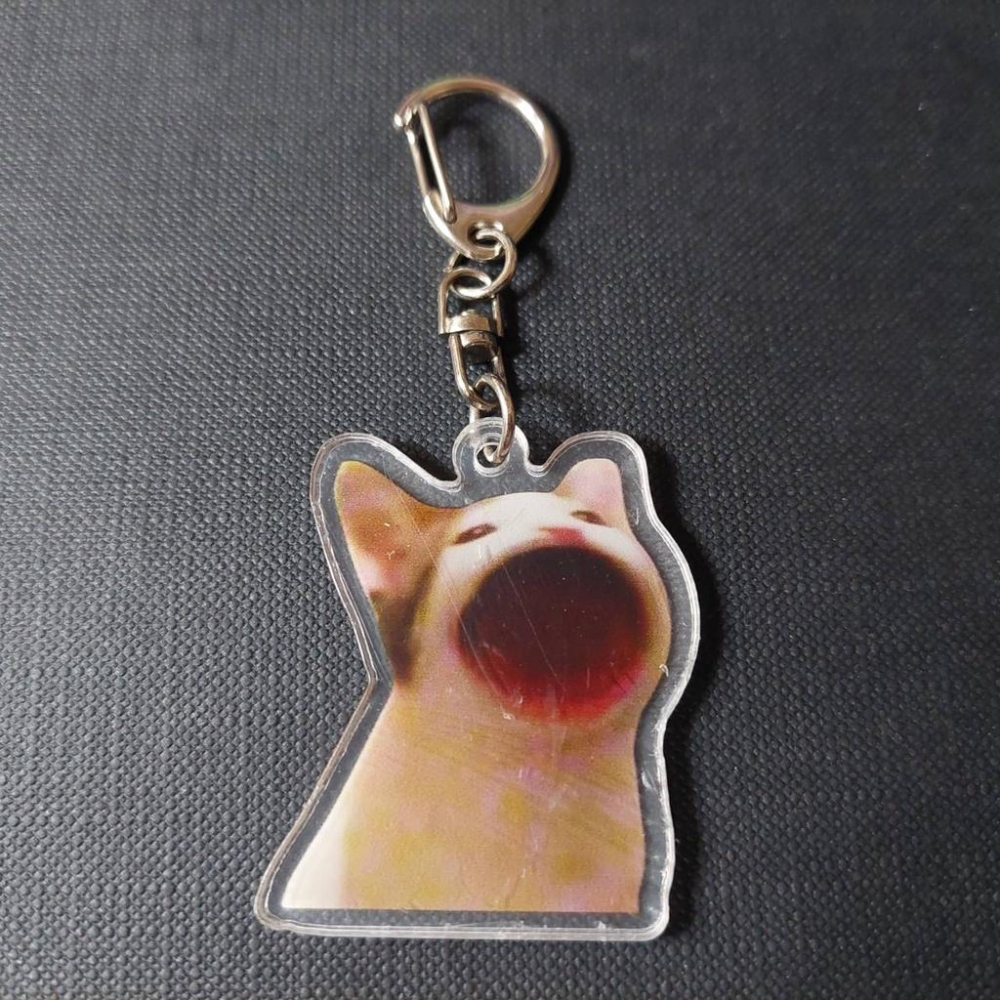 【怪寶貝】🔥迷因柴犬🔥 迷因狗 迷因吊飾 壓克力吊飾 迷因 POP貓 奇怪的知識增加了 迷因文化-細節圖4