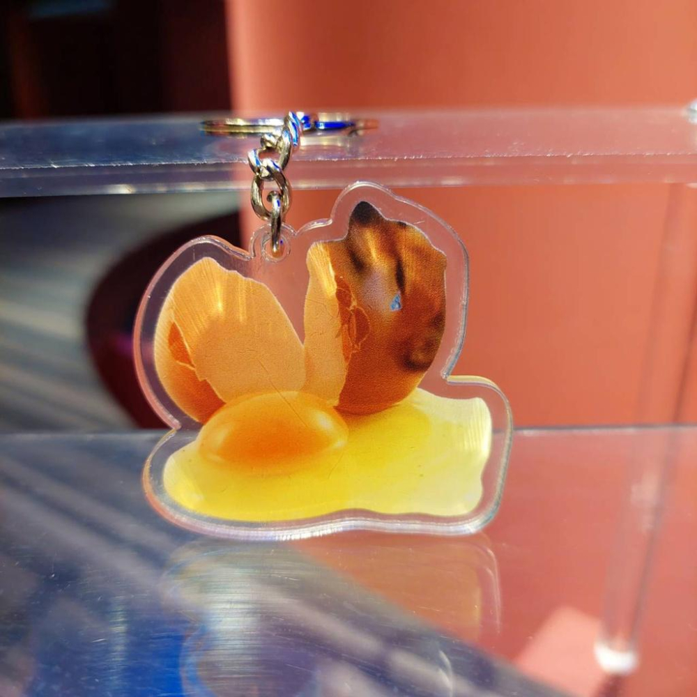 【怪寶貝】🔥迷因柴犬🔥 迷因狗 迷因吊飾 壓克力吊飾 迷因 POP貓 奇怪的知識增加了 迷因文化-細節圖5