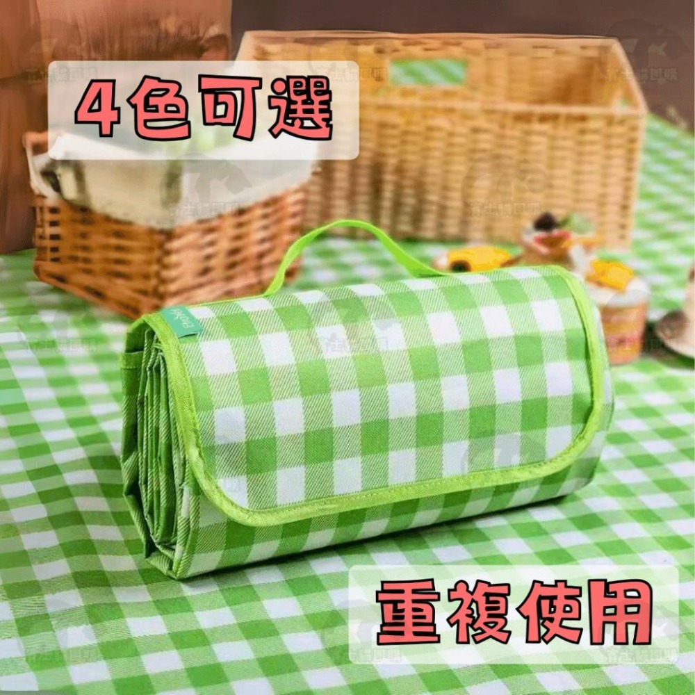 ✨超低促銷✨地墊 防水地墊 遊戲地墊 露營墊 防潮地墊 戶外地墊 野餐墊 薄型防水地墊 不織布地墊 露營地墊 戶外地墊-細節圖3