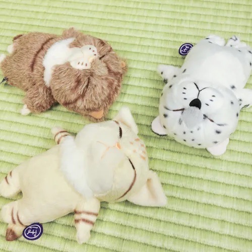 預購 🇯🇵 日本進口 內藤研究所睡貓 貓咪療癒小物 產地：中國-細節圖3