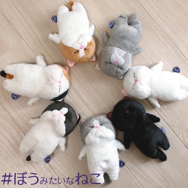 預購 🇯🇵 日本進口 內藤研究所睡貓 貓咪療癒小物 產地：中國-細節圖11