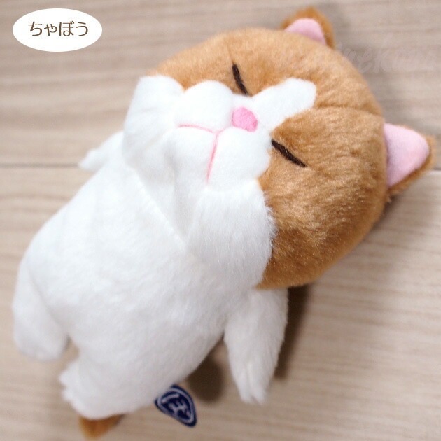 預購 🇯🇵 日本進口 內藤研究所睡貓 貓咪療癒小物 產地：中國-規格圖11