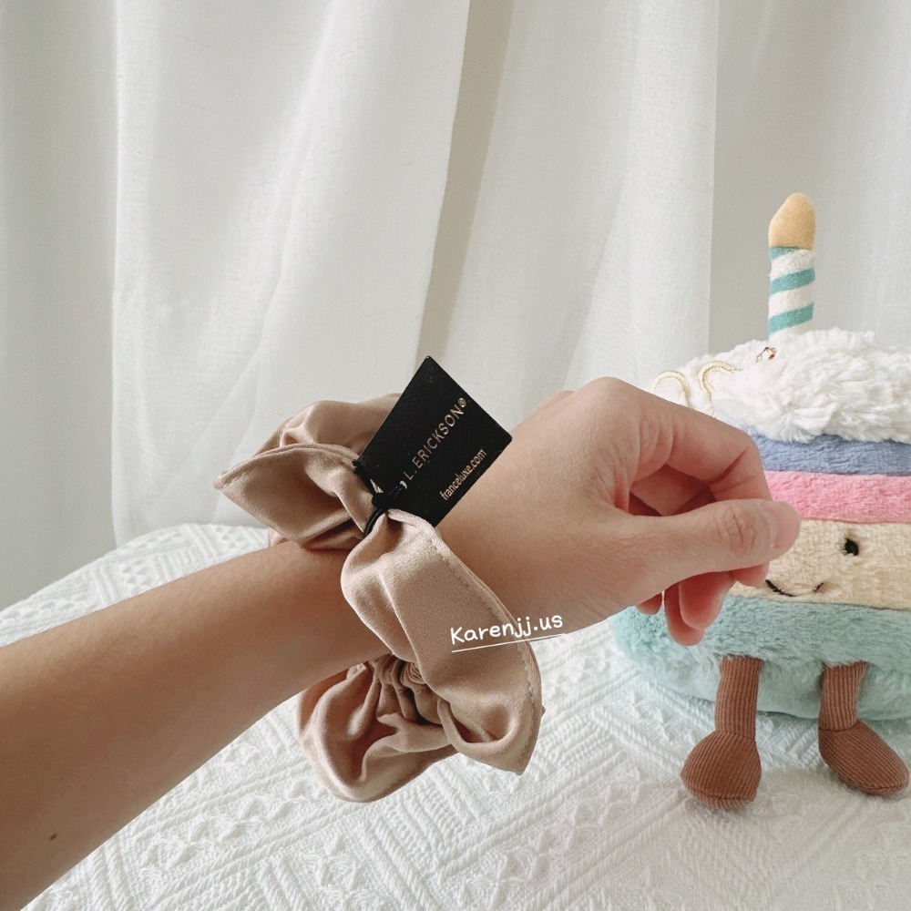 🌸【L. Erickson】 GRAB＆GO PONY 髮圈 髮夾 髮式 一字夾 小抓夾 粗款-規格圖7