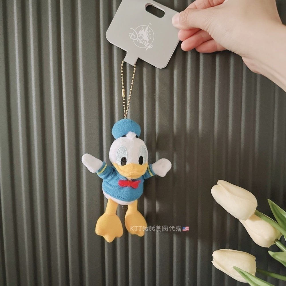 日本 迪士尼 肉身採買 玩偶 吊飾-細節圖5