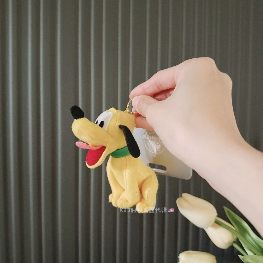 日本 迪士尼 肉身採買 玩偶 吊飾-細節圖2