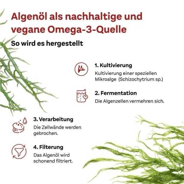 德國🇩🇪【雙心】營養加分 全素Omega-3海藻油膠囊120粒-細節圖4