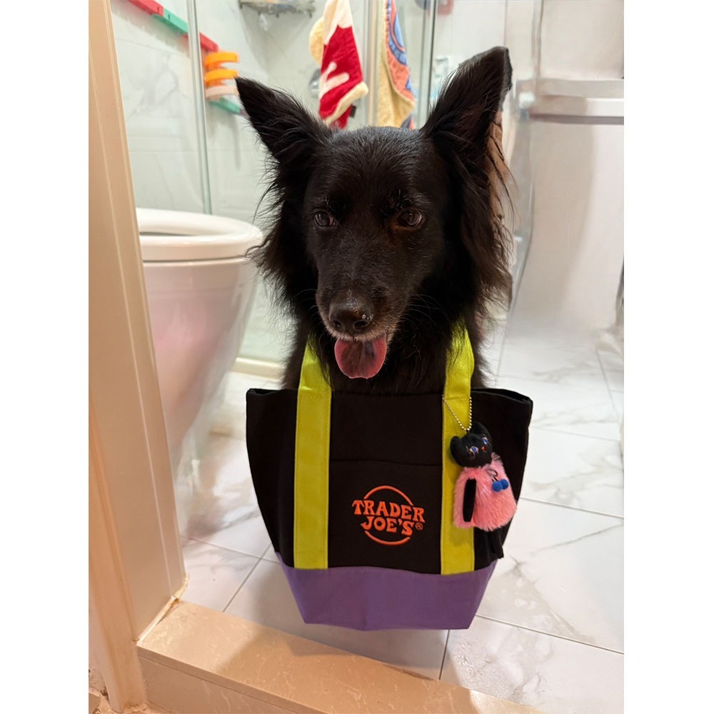 【Trader Joe’s】缺德舅 限定 迷你 托特包-細節圖3