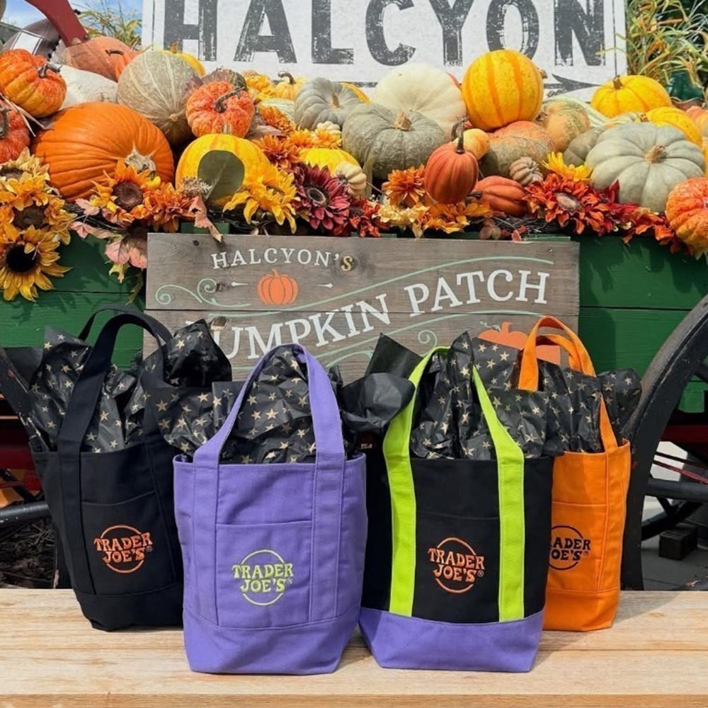 【Trader Joe’s】TJ 缺德舅 限定 迷你 托特包-細節圖2