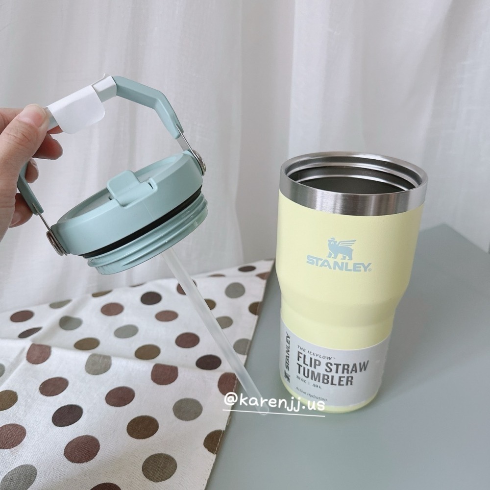 【Stanley】不鏽鋼提把吸管杯 600ml-細節圖2