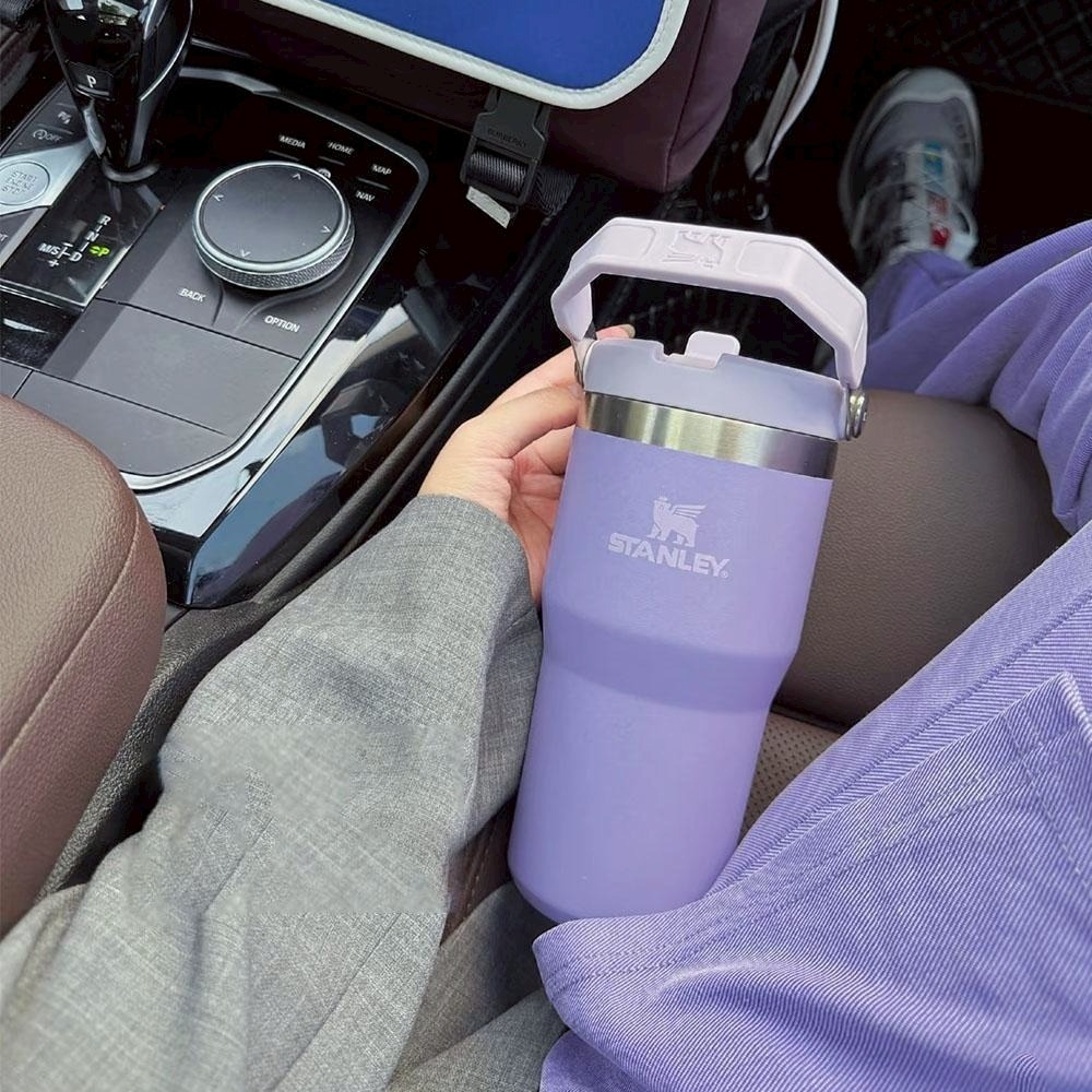 【Stanley】不鏽鋼提把吸管杯 600ml-細節圖4