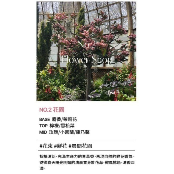 【Hetras】首席調香師擴香套組👉 一組皆為同款香味喔-規格圖8