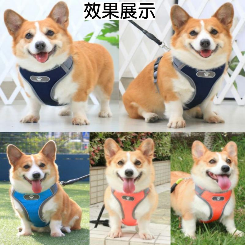 狗牽繩胸背帶🔥真便宜現貨🔥寵物胸背帶 夜間反光胸背帶 牽繩 狗狗胸背帶 寵物胸背帶 狗狗背帶 狗鏈 狗牽繩-細節圖2