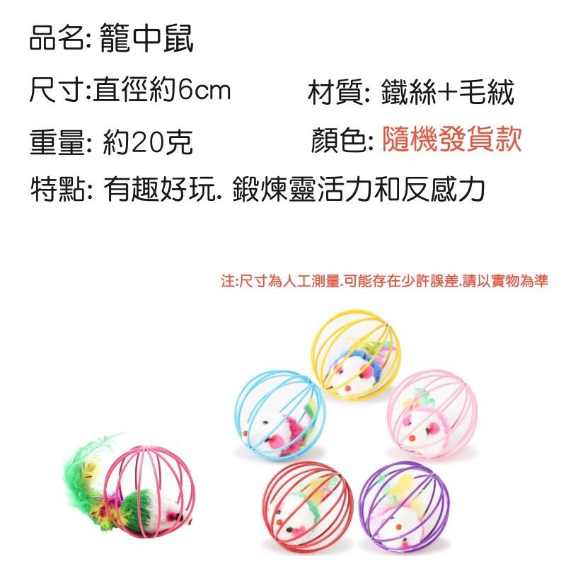 籠中鼠🔥真便宜現貨🔥貓玩具 絨毛小老鼠 寵物玩具 貓咪玩具 滾球囚籠老鼠 滾球不倒翁老鼠-細節圖8