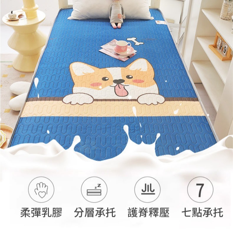 床墊 冰絲乳膠床墊 單人床墊 雙人床墊 雙人加大床墊 宿舍床墊 摺疊床墊-細節圖2