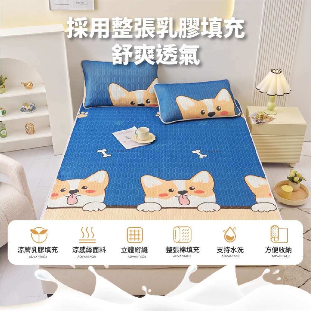 乳膠涼蓆 防水保潔墊 隔尿墊 乳膠涼席 冰涼墊單人保潔墊 保潔墊防水 乳膠涼墊 防水墊 送枕套-細節圖2
