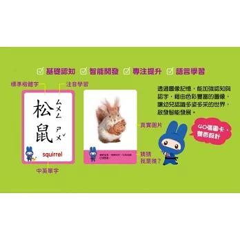 *樂在生活館* 幼福 忍者兔認知學習圖卡系列-細節圖5