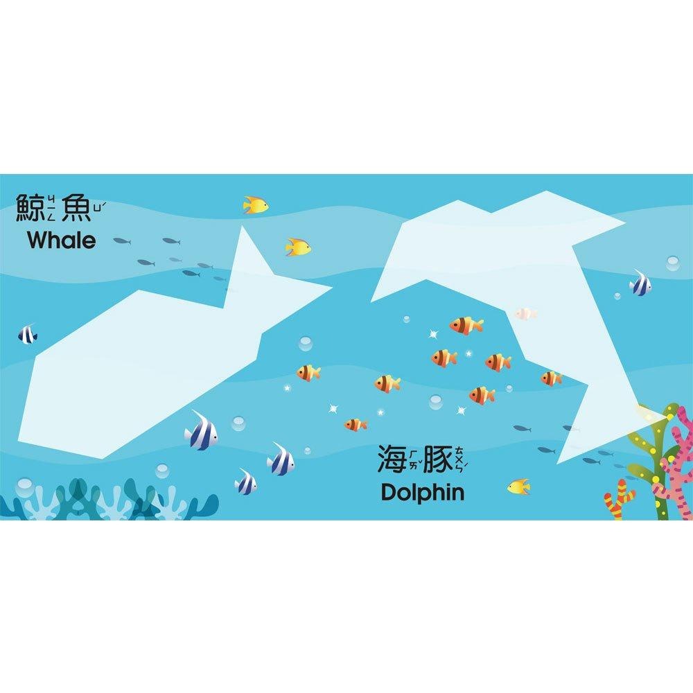 【華紀生活館】双美 5Q百變益智拼板系列：-細節圖3