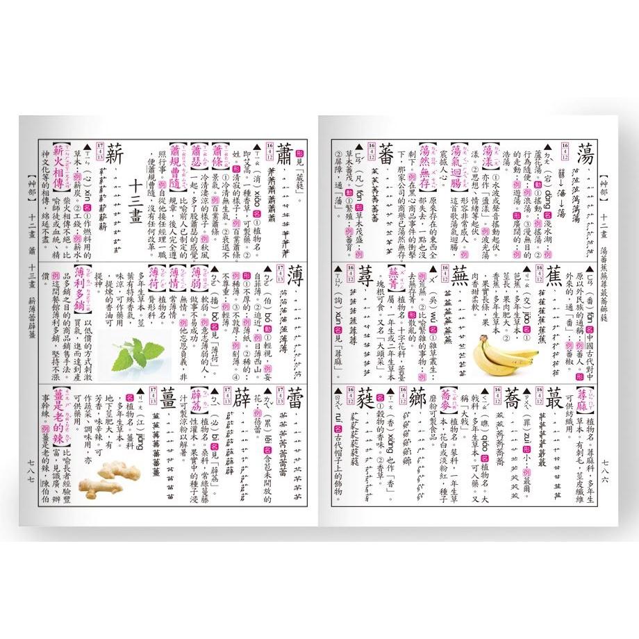 【華記生活館】世一 中文字典系列29：(32K)彩色新編國語辭典 B5138-2（無外盒，介意者請勿下單！）-細節圖4