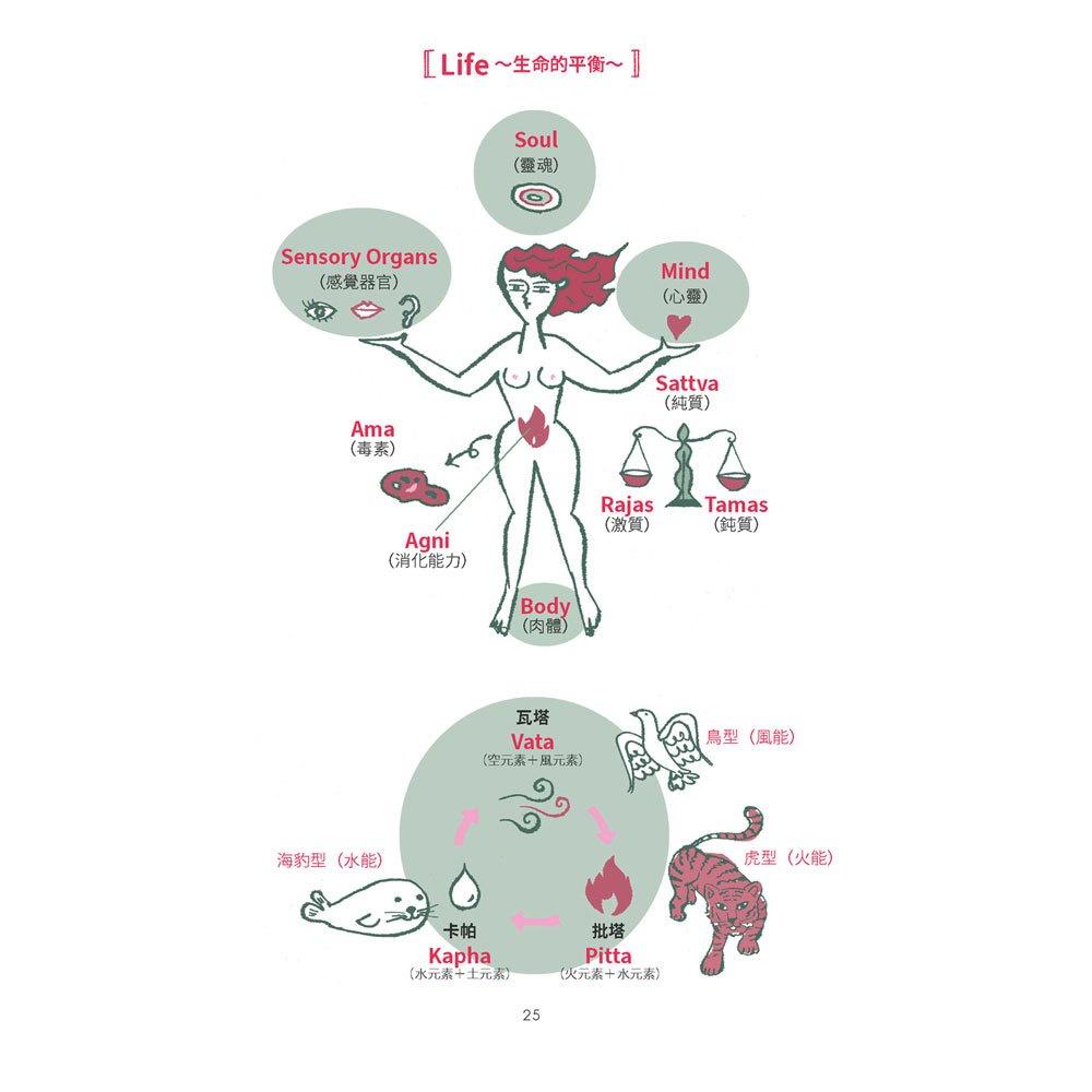 【華紀生活館】和平國際  阿育吠陀靈性身心平衡調息法 【依循健康長壽的智慧，認識自身的內外平衡】-細節圖3