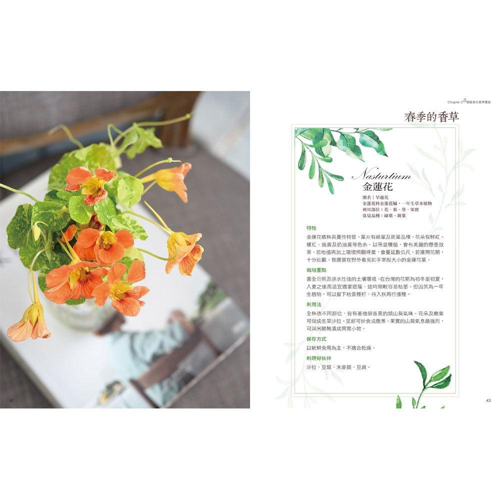 【華記生活館】和平國際  JULIA的「香草滿屋」料理紀錄-細節圖2