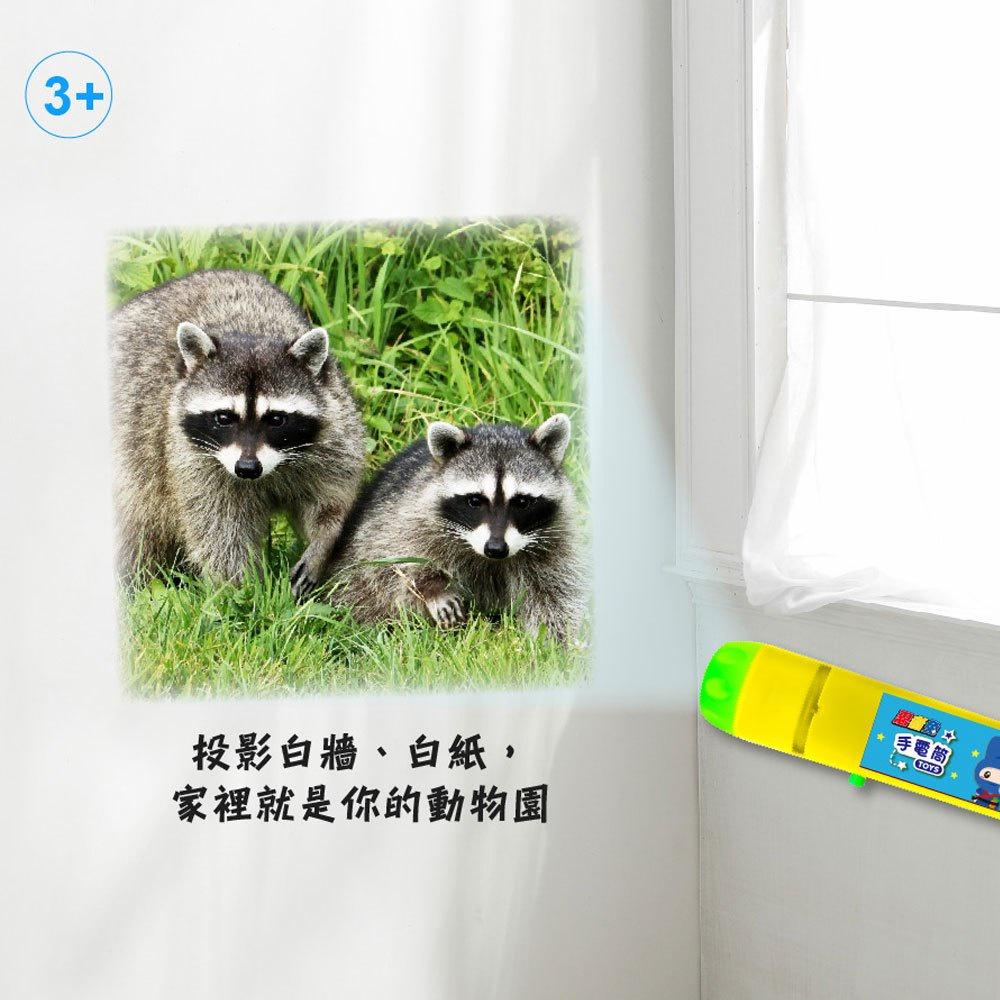 【華記生活館】幼福  手電筒投影動物圖鑑百科-細節圖2