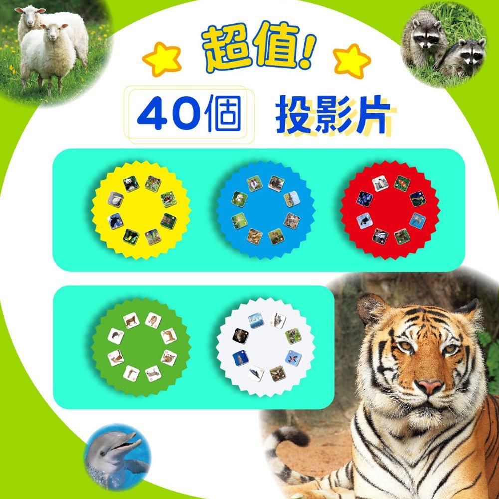 【華記生活館】幼福  手電筒投影動物圖鑑百科-細節圖3