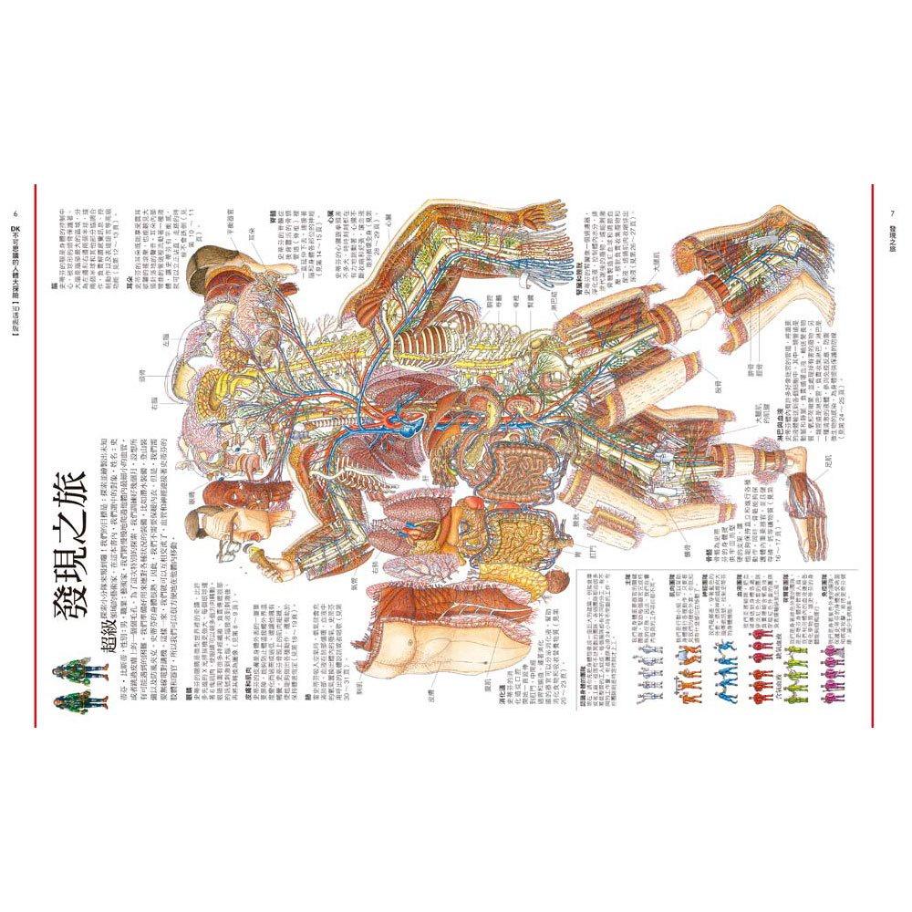 【華記生活館】和平國際  DK不可思議的人體大探險【3D透視版】-細節圖2