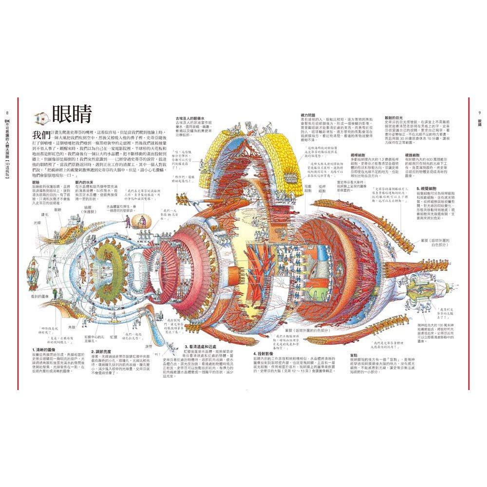 【華記生活館】和平國際  DK不可思議的人體大探險【3D透視版】-細節圖3