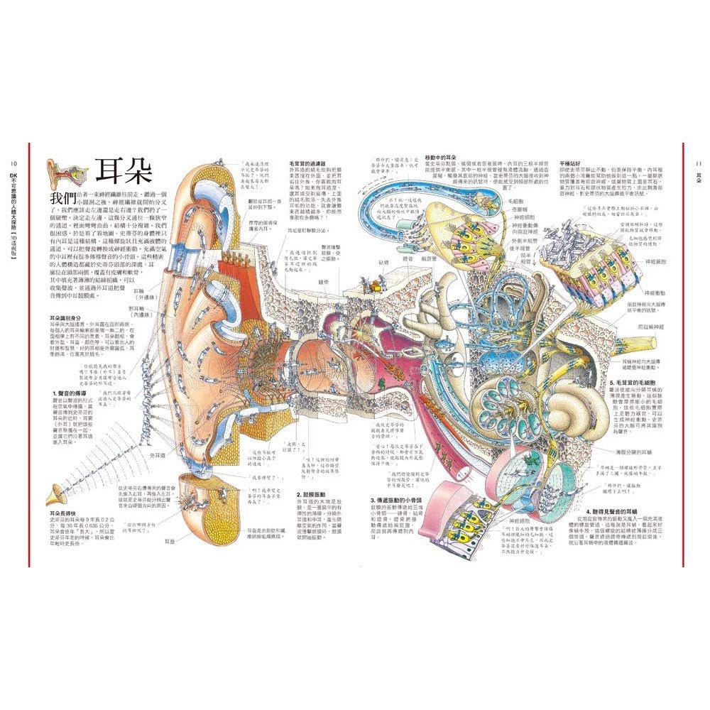 【華記生活館】和平國際  DK不可思議的人體大探險【3D透視版】-細節圖4