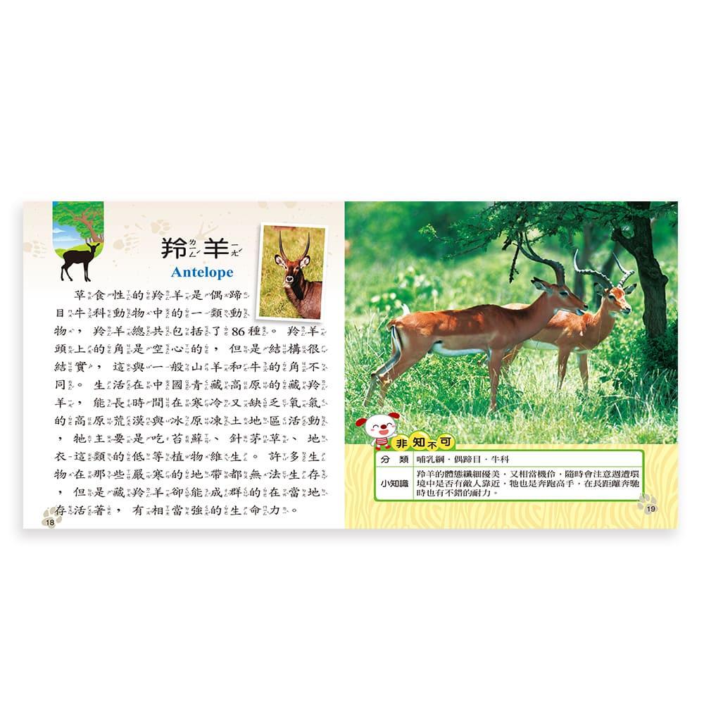 【華記生活館】世一 我是知識王9：動物小百科 B688009-1-細節圖3