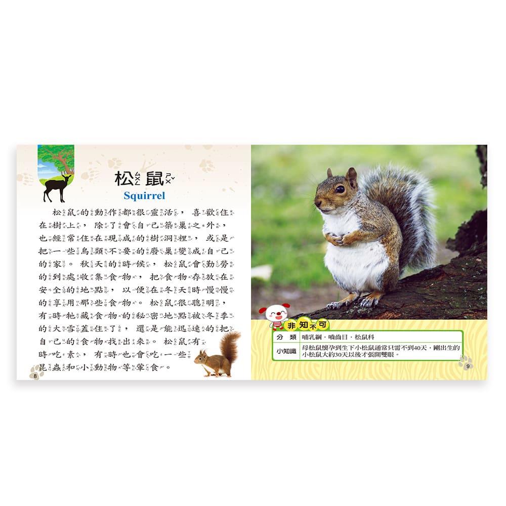 【華記生活館】世一 我是知識王9：動物小百科 B688009-1-細節圖5