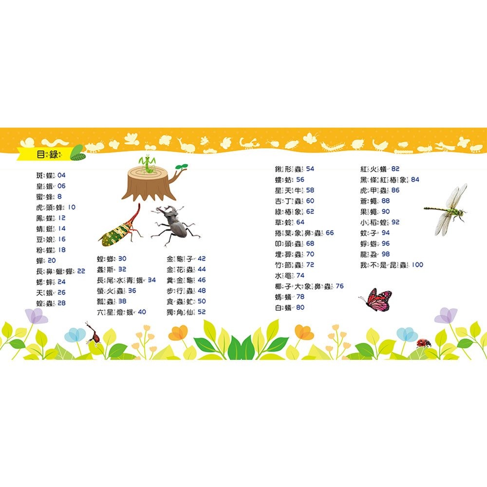 【樂在生活館】幼福 忍者兔魔法投影手電筒：昆蟲王國百科圖鑑【48張投影影像，帶你認識各種奇妙有趣的昆蟲！】-細節圖7