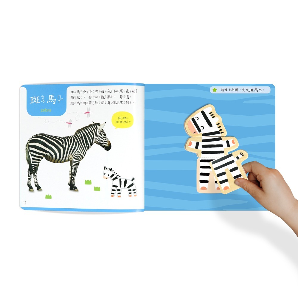 【樂在生活館】華碩文化 木質磁鐵動物拼圖B043-細節圖4