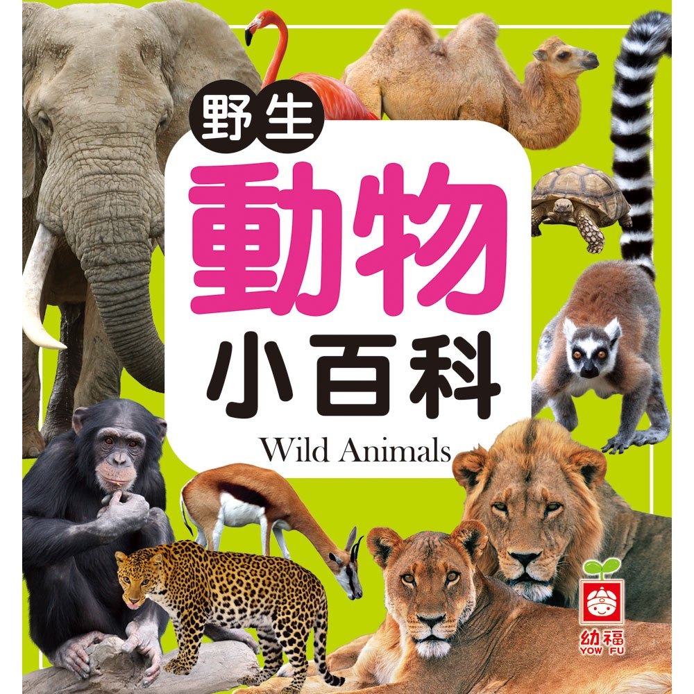 【樂在生活館】幼福 小百科系列：-規格圖11
