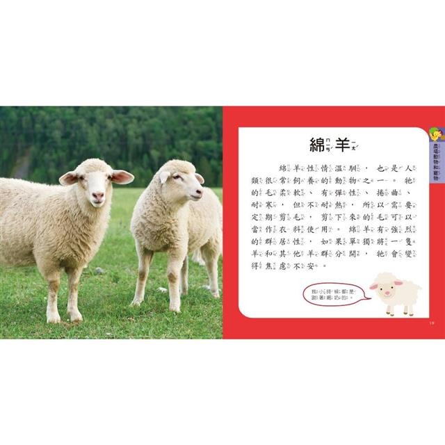 【樂在生活館】双美 圖鑑小百科系列：-細節圖3