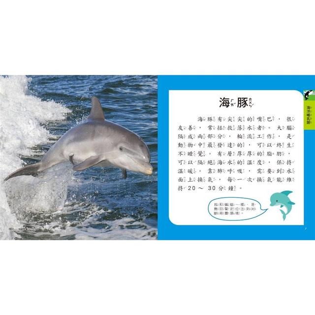 【樂在生活館】双美 圖鑑小百科系列：-細節圖5