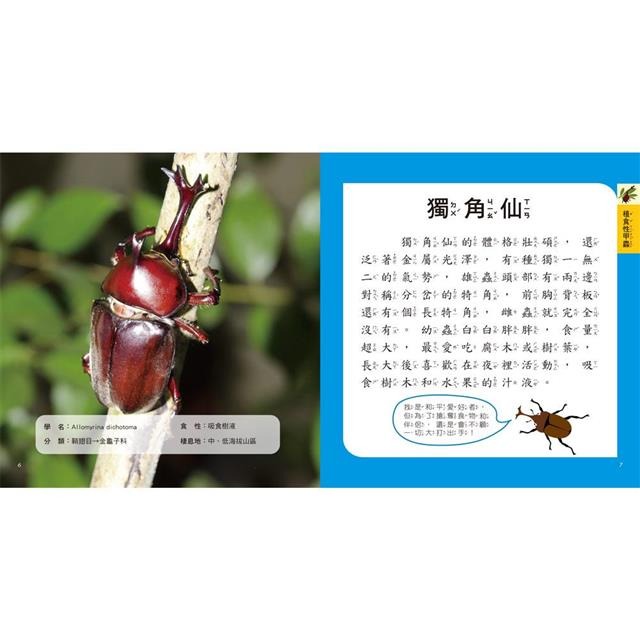 【樂在生活館】双美 圖鑑小百科系列：-細節圖9