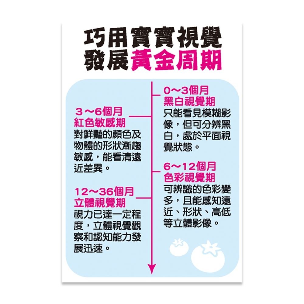 【樂在生活館】世一 視覺卡系列-立體CA0644-細節圖2